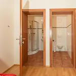 Stoegergut By Schladming-appartements Schladming
