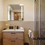 Stoegergut By Schladming-appartements Apartment