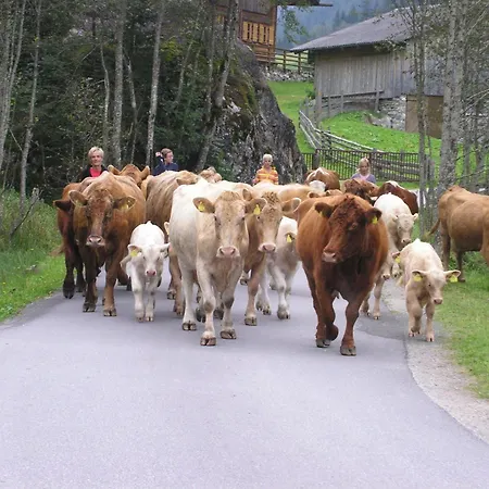 Stoegergut By Schladming-appartements 아파트 *