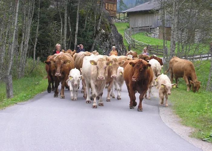 Stoegergut By Schladming-appartements Apartamento *