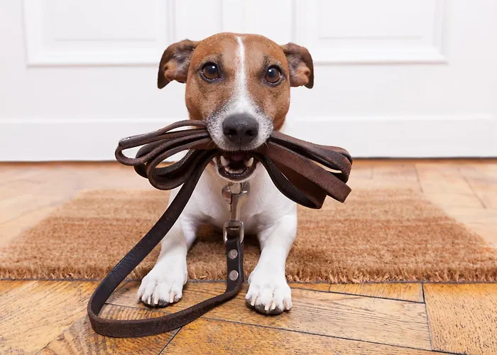 Apartamento Stoegergut By Schladming-appartements *