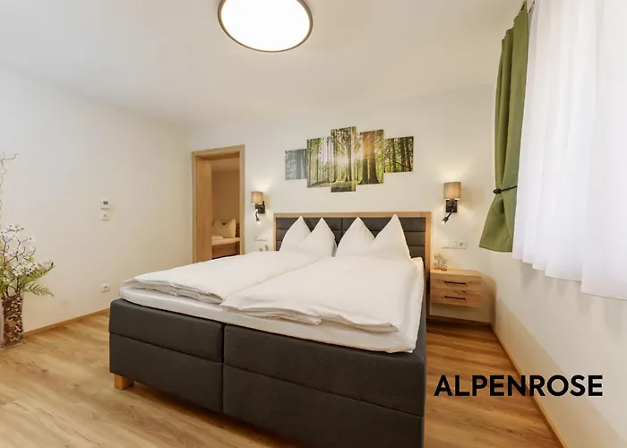 Apartamento Stoegergut By Schladming-appartements